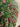 Housse de Coussin Rond - Hara Vert, détail du motif block print imprimé main