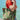 Daily Bag - Hara Vert KIRANE